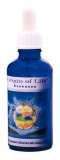 esencia 30ml incl. tarjeta energetica, Christ-All aspecto
